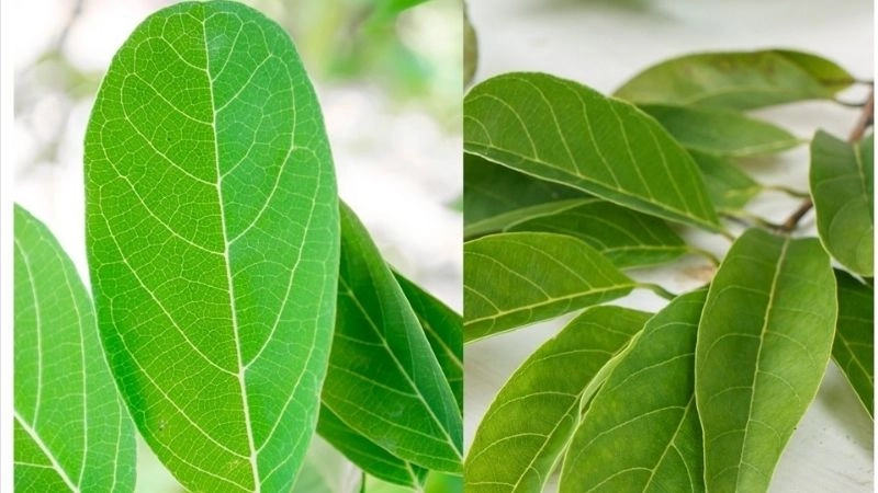 Mẹo dân gian chữa sốt cho trẻ dễ làm tại nhà