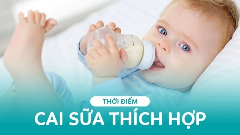 Khi nào nên cai sữa cho bé mẹ không nên bỏ qua