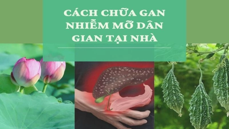 Mẹo dân gian chữa gan nhiễm mỡ an toàn không tốn kém