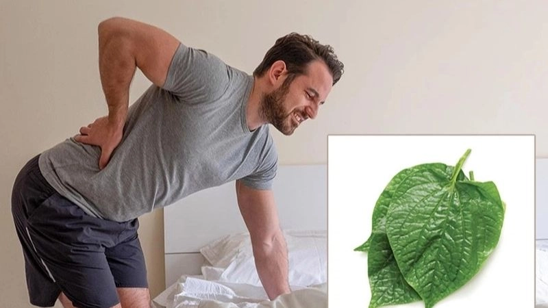 Mẹo dân gian chữa đau thần kinh tọa từ thiên nhiên