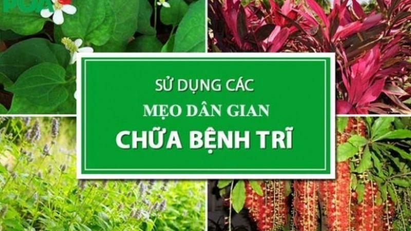 Tiết lộ mẹo chữa trĩ dân gian hiệu quả ít ai ngờ tới