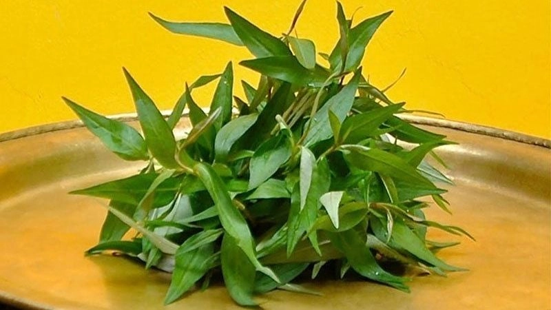 Bật mí mẹo dân gian chữa ốm nghén hiệu quả