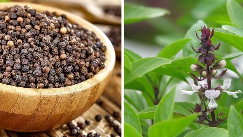 Mẹo chữa đau răng dân gian từ nguyên liệu tự nhiên an toàn