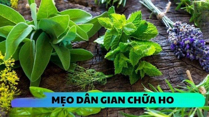 Mẹo dân gian chữa ho an toàn cho cả trẻ nhỏ lẫn người già