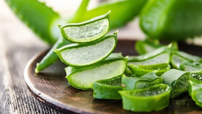 Mẹo dân gian chữa trào ngược dạ dày với nha đam