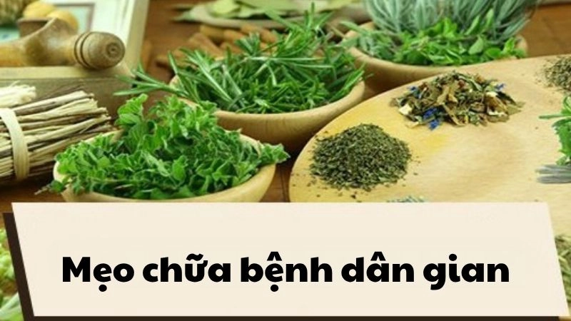 101 mẹo chữa bệnh dân gian bí truyền từ xưa tới nay