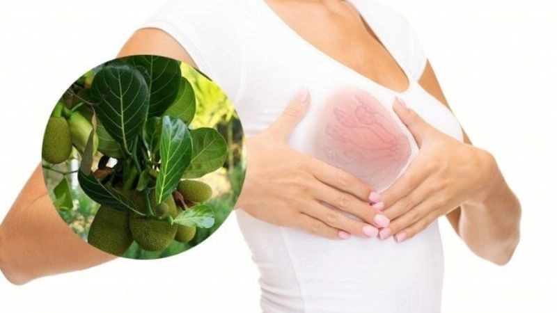 Cách chữa tắc tia sữa bằng mẹo dân gian an toàn