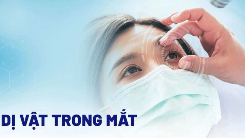Giác mạc của mắt rất nhạy cảm, dính một hạt bụi nhỏ cũng khiến mắt khó chịu