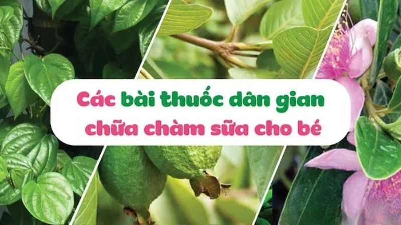Mẹo dân gian chữa chàm sữa được nhiều mẹ bỉm tin dùng