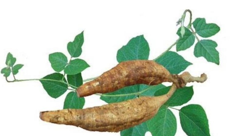 Mẹo cai rượu dân gian hiệu quả bất ngờ