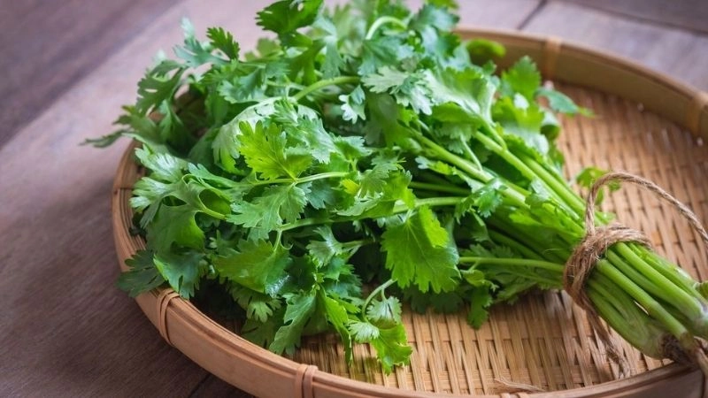Mẹo dân gian chữa sốt siêu vi từ thiên nhiên