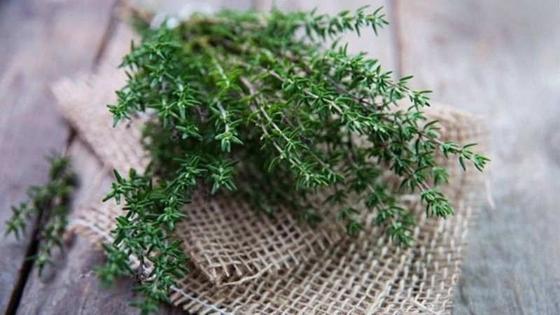 Mẹo dân gian hạ huyết áp từ thiên nhiên