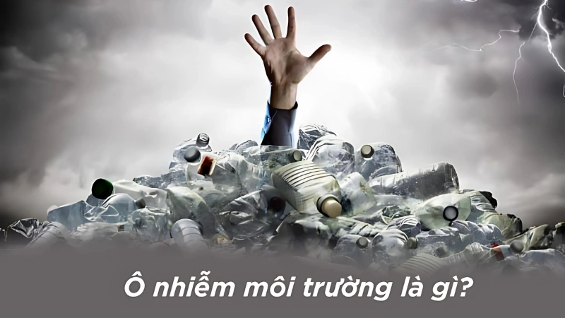 Ô nhiễm môi trường là gì? Nguyên nhân và tác hại chi tiết