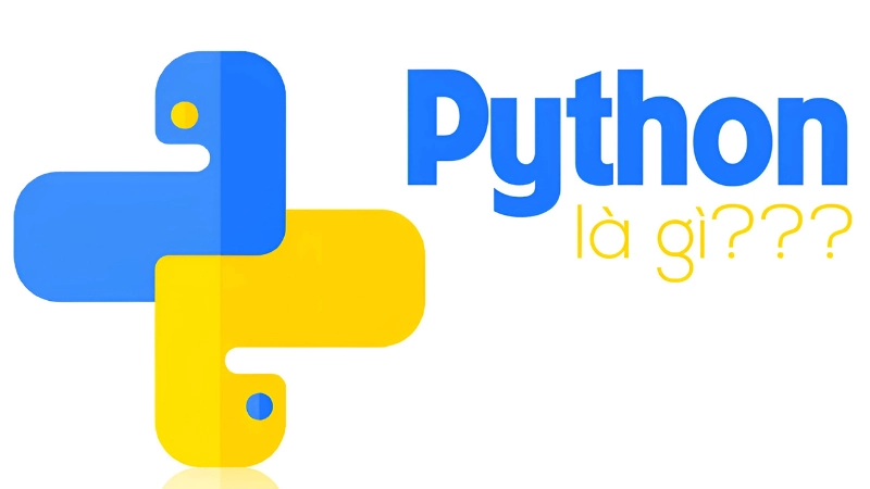 Python là gì? Những điều cần biết trước khi bắt đầu học