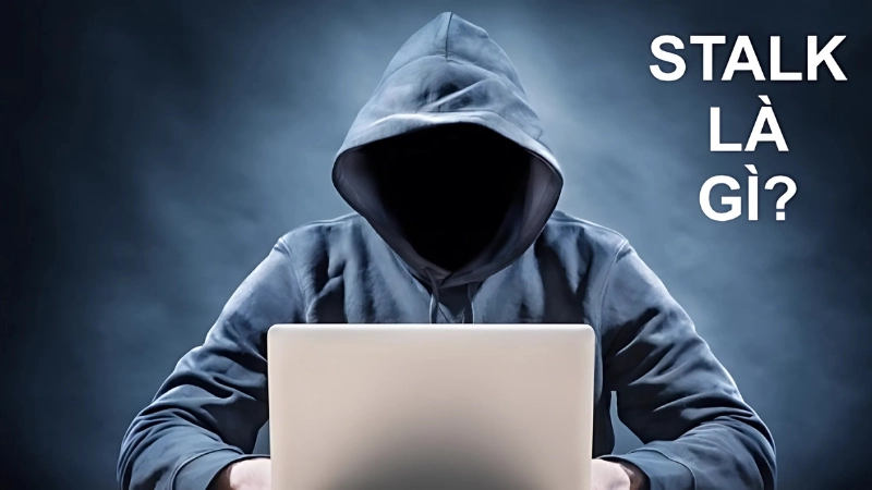 Từ stalk có nghĩa là gì? Khi nào là hành vi đáng báo động