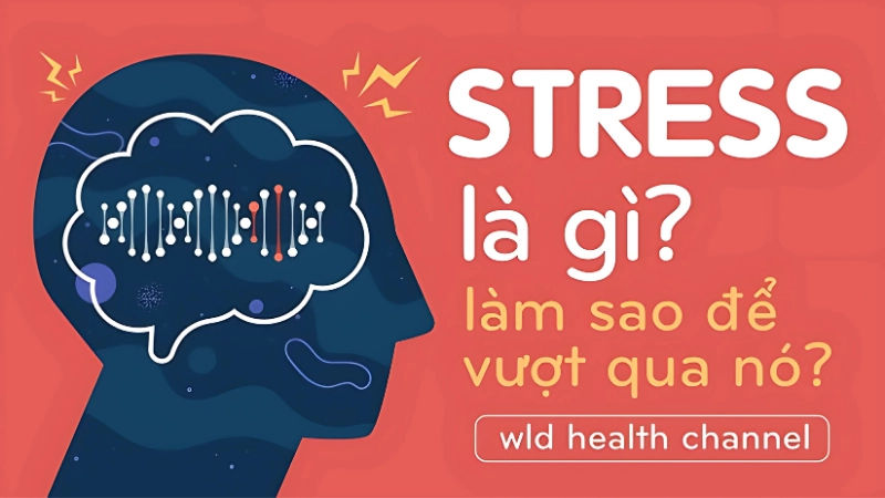 Stress là gì? Hiểu đúng để kiểm soát căng thẳng hiệu quả