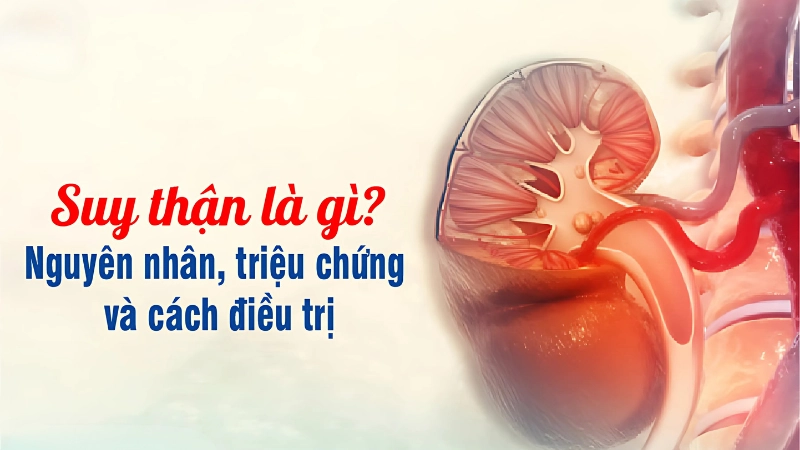 Suy thận là gì? Cảnh báo sớm từ những dấu hiệu nhỏ