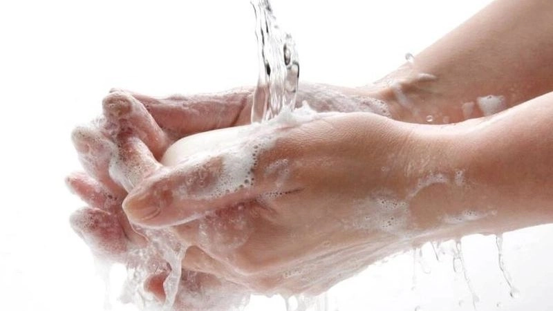 Cách sơ cứu khi bị mèo cắn đơn giản tại nhà