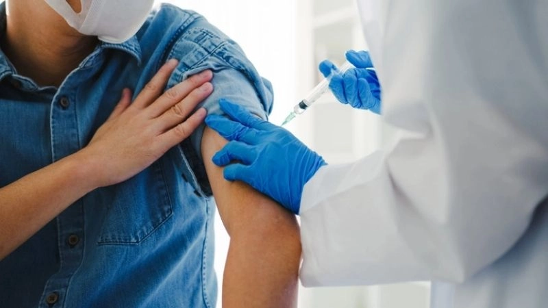 Sơ cứu khi bị chó cào đúng cách tại nhà