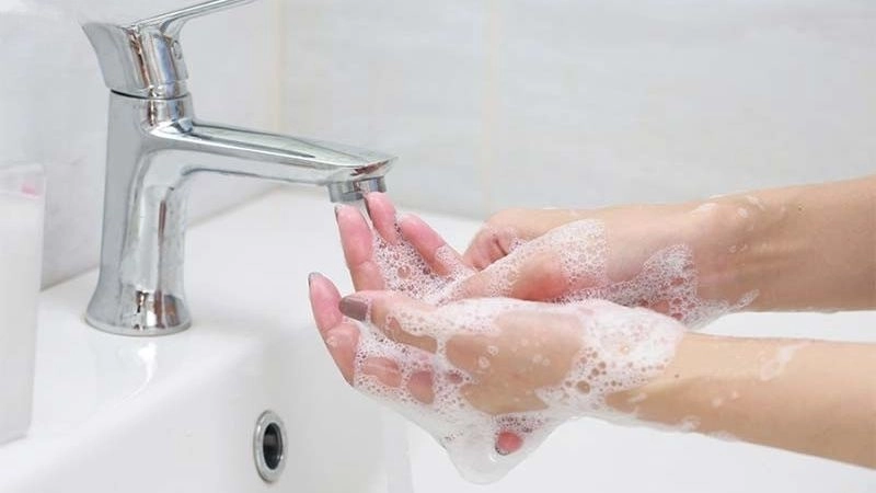 Cách sơ cứu khi bị chó cắn đúng cách và an toàn