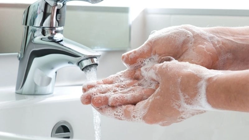 Cách sơ cứu khi bị gián cắn hiệu quả tại nhà