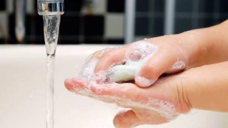 Sau khi bị hamster cắn, bạn cần phải nặn toàn bộ vết máu độc ra bên ngoài. Sau đó, hãy tiến hành rửa sạch vết thương với xà phòng