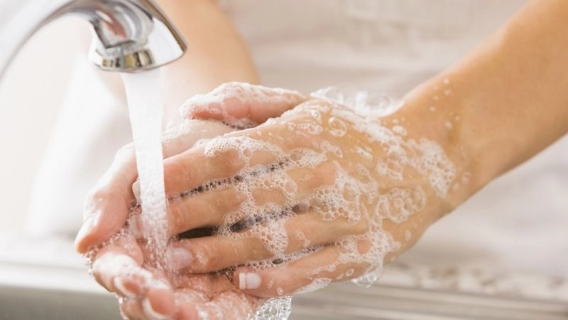 Cách sơ cứu khi bị sóc cắn đúng cách