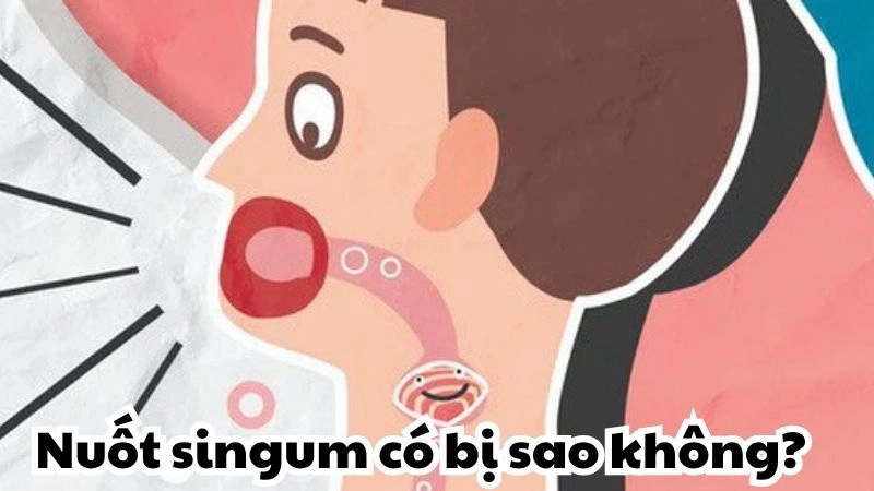Nuốt singum có bị sao không và cách xử lý chuẩn khoa học