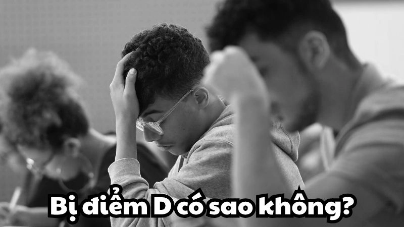 Bị điểm D có sao không nếu vẫn đủ điều kiện tốt nghiệp