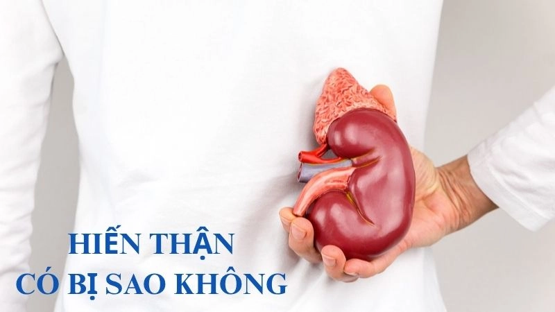 Hiến thận có bị sao không và sự thật ít ai dám nói ra
