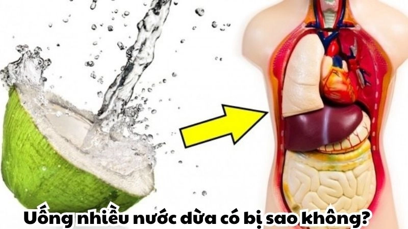 Uống nhiều nước dừa có bị sao không và lời cảnh báo