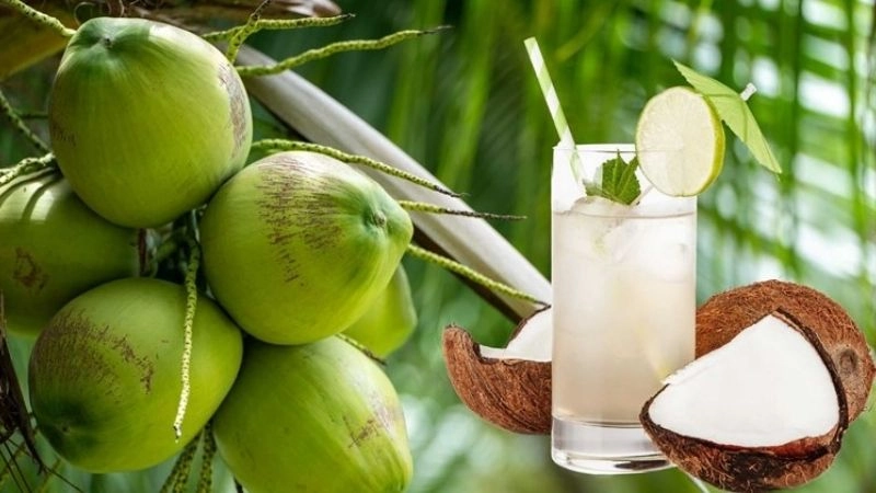 Những tác hại tiềm ẩn khi uống nước dừa thường xuyên
