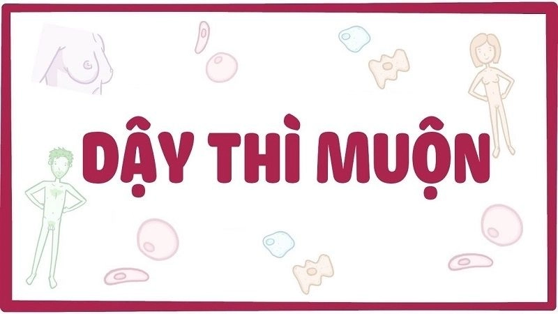 Dậy thì muộn có bị sao không - Có ảnh hưởng gì đến sinh sản