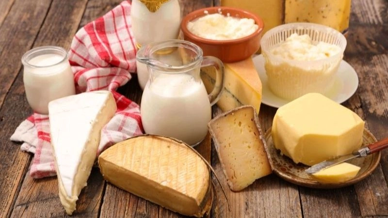 Lợi ích của sữa và chế phẩm từ sữa