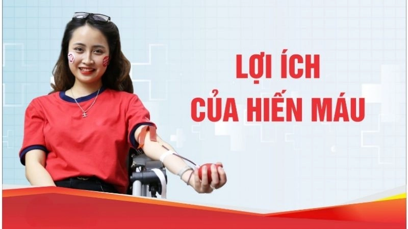 Lợi ích bất ngờ của việc hiến máu đúng cách
