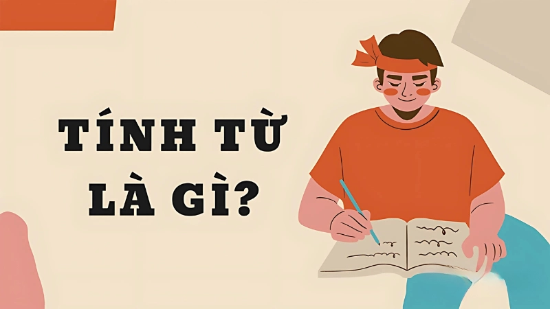 Tính từ là gì? Hướng dẫn dùng đúng trong tiếng Anh và Việt