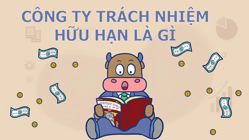 Trách nhiệm hữu hạn trong kinh doanh là gì 