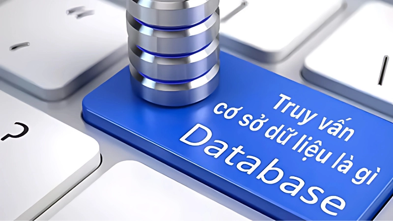 Truy vấn cơ sở dữ liệu là gì? Vai trò trong công nghệ