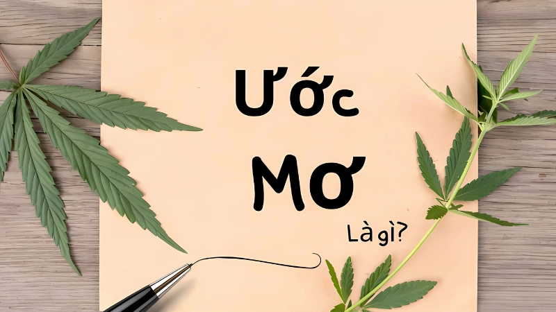 Ước mơ là gì? Cách xây dựng và chinh phục mục tiêu sống