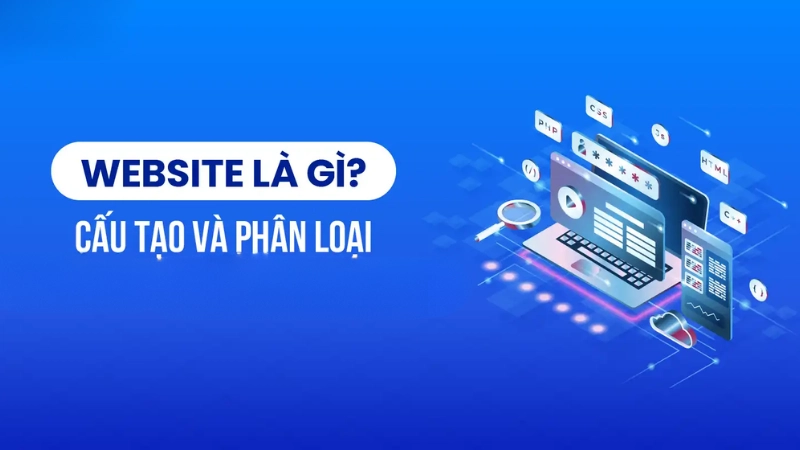 Website là gì? Tầm quan trọng của website trong thời đại số