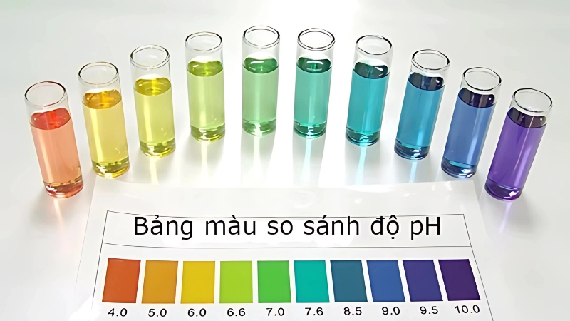 Hướng dẫn phân biệt acid mạnh và acid yếu trong thực hành