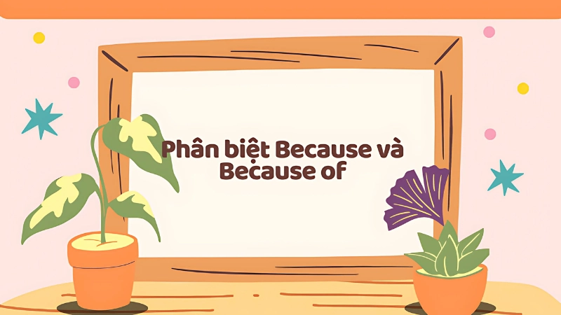 Vì sao cần hiểu rõ và phân biệt because và because of