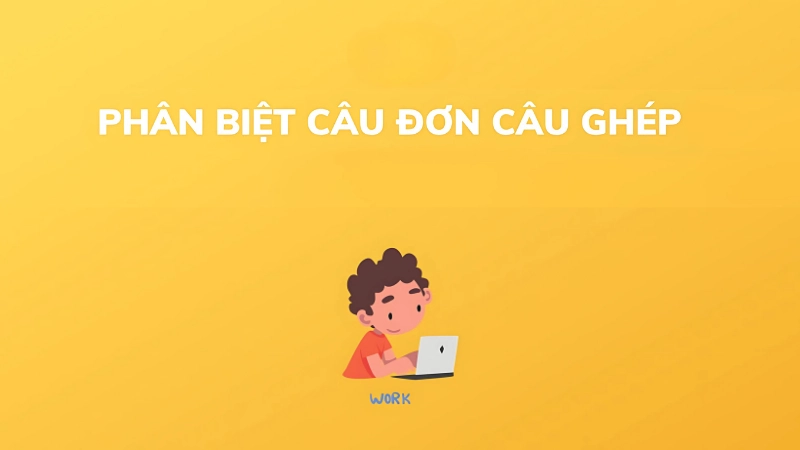 Khái niệm và đặc điểm của câu đơn và câu ghép