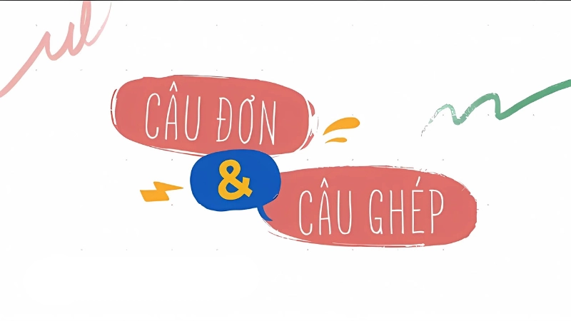 Học ngay cách phân biệt câu đơn câu ghép chính xác nhất