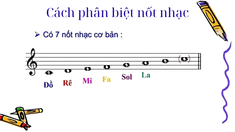 Hiểu về nốt nhạc và vai trò của chúng trong âm nhạc
