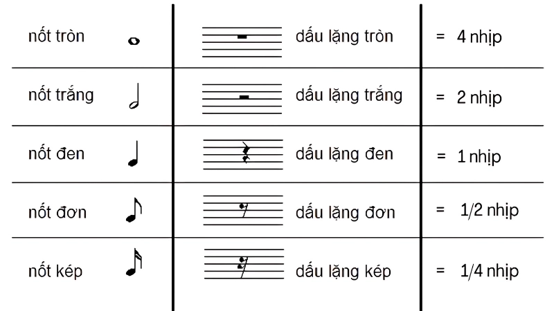 Cách phân biệt nốt nhạc qua hình dáng và ký hiệu trên bản nhạc