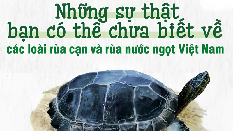 Môi trường sống khác biệt rõ ràng