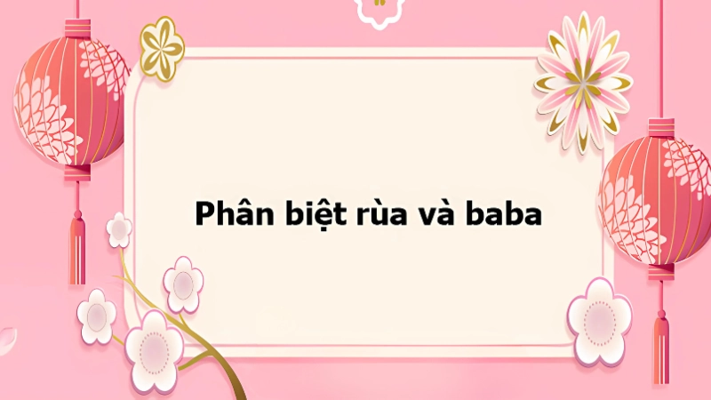 Môi trường sống và hành vi sinh thái