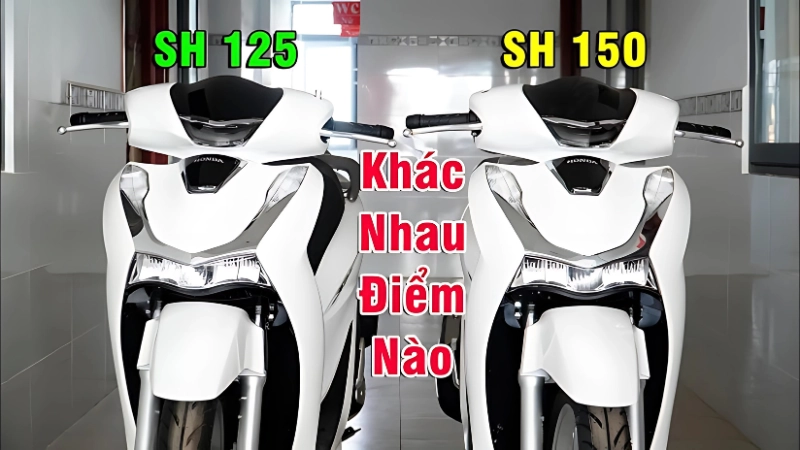 Giá bán và giấy tờ xe để kiểm tra chính xác