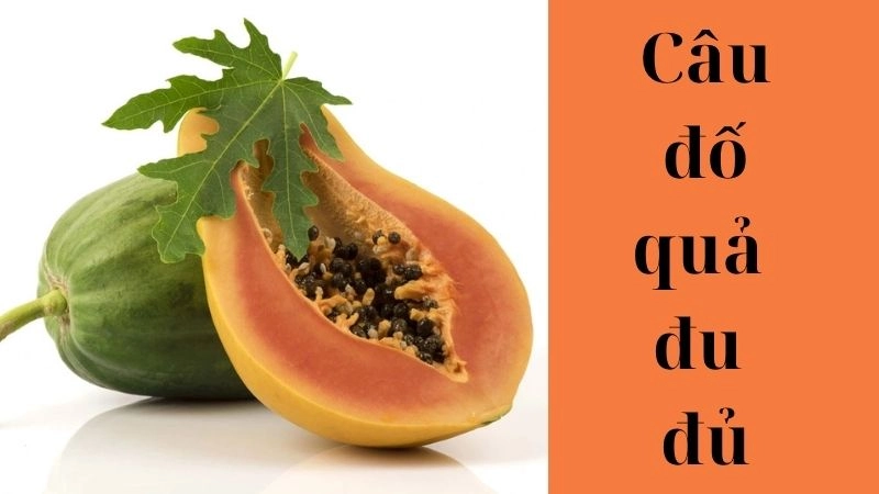 Tổng hợp câu đố quả đu đủ thú vị giúp bé vừa học vừa chơi